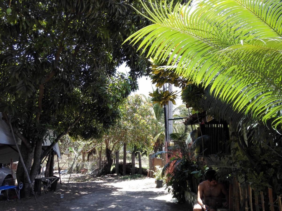 Hostel Terra Viva Praia de Pipa Екстериор снимка
